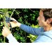 Fiskars PowerStep P83 Nožnice záhradné jednočepeľové 19cm (111670) 1000575