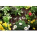 GARDENA MDS-nadzemná kvapkacia hadica 4,6 mm (3/16 "), 15m sada 1361-37