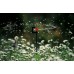 GARDENA Micro-Drip-System Rotačný rozprašovací zavlažovač 360 ° 2 ks, 1369-29
