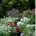 GARDENA Micro-Drip-System-pruhová tryska (5ks) 1370-29