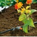 GARDENA Micro-Drip-System radový kvapkač 2 l/h (10ks) 8343-29