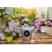 Gardena AquaBloom Solárne zavlažovanie - súprava 13300-20