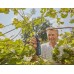 GARDENA AssistCut Akumulátorové zahradnické nožnice, 25 mm, 12222-20