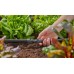 GARDENA MDS Spojka 13 mm (1/2") 3ks. 13203-20