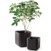 KETER CUBE PLANTER M Kvetináč, 30 x 30 x 30 cm, hnedá 17202066