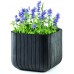 KETER CUBE PLANTER M Kvetináč, 30 x 30 x 30 cm, antracit 17202066