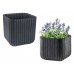 KETER CUBE PLANTER M Kvetináč, 30 x 30 x 30 cm, antracit 17202066