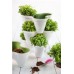 KETER IVY PLANTER kvetináč, biela / zelená 17196813