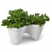 KETER IVY PLANTER kvetináč, 41 x 38 x 19,1 cm, sivá 17196813