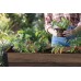 KETER DECO ELEVATED GARDEN BED Truhlík, 113 x 47,5 x 79,8 cm, walnut 17213340