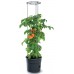 Prosperplast TOMATO GROWER Kvetináč na pestovanie paradajok, 39,2cm, antracit IPOM400