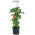 Prosperplast TOMATO GROWER Kvetináč na pestovanie paradajok, 29,5 cm, antracit IPOM300