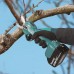 Makita DUP181Z Akumulátorové nožnice na vetvy, max. ø 30mm,Li-ion LXT 18V,bez aku Z