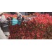 Makita UH004GM201 Aku plotostrih 600mm Li-ion XGT 40V/4Ah
