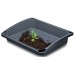 Prosperplast RESPANA GROW TRAY Podnos k sadbovačům 57,6 x 45,6 x 11cm, antracit INTC60