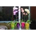 PROSPERPLAST COUBI kvetináč na orchidey 1,3l, zelená DUS130P