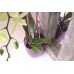 PROSPERPLAST COUBI Kvetináč vysoký 18,3 cm, fialová transparentná DUOW160P