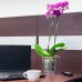 PROSPERPLAST COUBI kvetináč na orchidey 1,5l, ružová DUOW130P