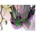 COUBI kvetináč na orchidey 12 cm, 1,1l, biela DSTO125M