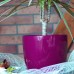 PROSPERPLAST COUBI kvetináč 1l, 12,5cm bordo DUO120