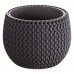 Prosperplast SPLOFY Bowl kvetináč 29cm, 3,9l, antracit DKSP290