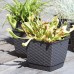 Prosperplast RATOLLA SQUARE Kvetináč s miskou 22cm, 6l, biela DRLK220
