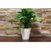 PROSPERPLAST ROCKA Kvetináč 14 cm, biela DROC140
