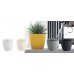 Prosperplast WHEATY Kvetináč 18,9 cm, šedý kameň DWH190