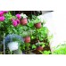 AGRO Kvetináč závesný 21cm, 2l, terakotová DAGW3-R624