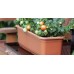 PROSPERPLAST FLORKA Truhlík 50x16,5x14cm, 7l, hnědá ISFL500