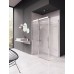 RAVAK MATRIX MSDPS-100/100 L Sprchové dvere s pevnou stenou, satin+Transparent 0WLAAU00Z1