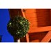 SHARKS LED solárne buxus SA035