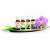 SOEHNLE Parfumovaný olej Vanilla 10 ml 68041