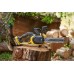 Stanley SFMCCS730M1 FatMax V20 Aku bezuhlíková reťazová píla 30cm (18V/1x4,0Ah)