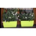 PROSPERPLAST COUBI truhlík 40x18x15cm, 7l, zelená DUP400