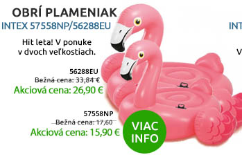 intex-plameniak