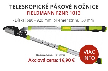 fieldmann-fznr-1013-teleskopicke-pakove-noznice-50002223