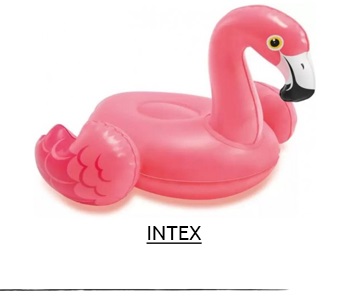 intex